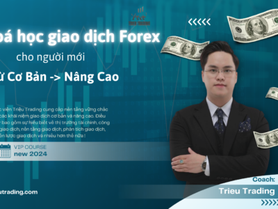 ( Comingsoon…) Khoá học giao dịch FOREX ALL IN ONE – cho người mới từ Cơ Bản đến Nâng Cao ( Học Viện Triệu Trading )